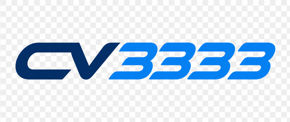 cv3333